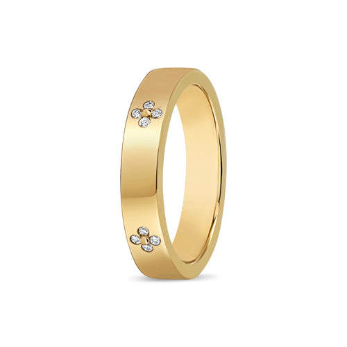 The Rosa Band - Lab Diamond