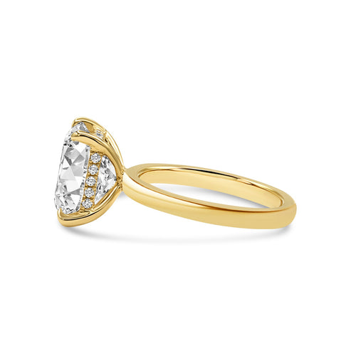 The Quinn Ring - 3ct Moissanite